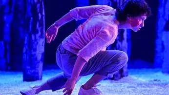 Review: Fangs, but No Thanks, for 'Let the Right One In' at Berkeley Rep