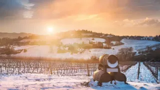 The Finger Lakes Are America's Cozy Off-Season Getaway